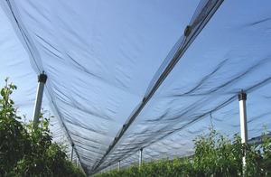 אנטי ברד רשת ציפור רשת עבור גוון חקלאי חממה hdpe החקלאי
