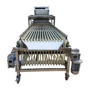 Selezionatrice automatica della data rossa frutta fresca classificazione dell'arancia verdura piccola selezionatrice della noce del dado di smistamento della patata in vendita - Product Image 3