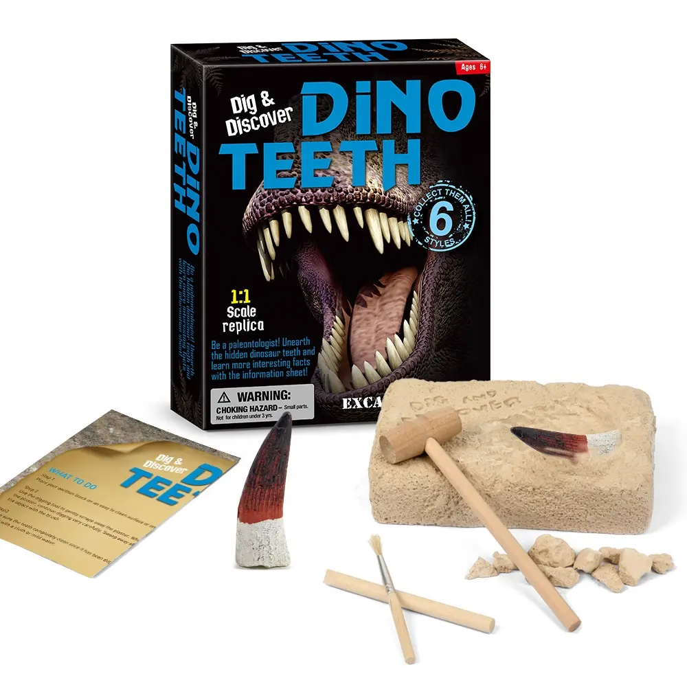 2021 لعبة تعليمية مضحك ألعاب الأولاد حفر واكتشاف دينو الأسنان الحفر أطقم أسنان الديناصور الأحفوري نموذج جمع اللعب