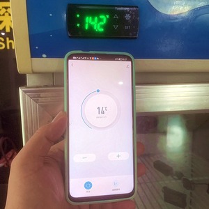 Pantalla LCD Digital Tuya Wifi, controlador de temperatura de termostato inteligente para refrigerador, coche, CA, 2 unidades