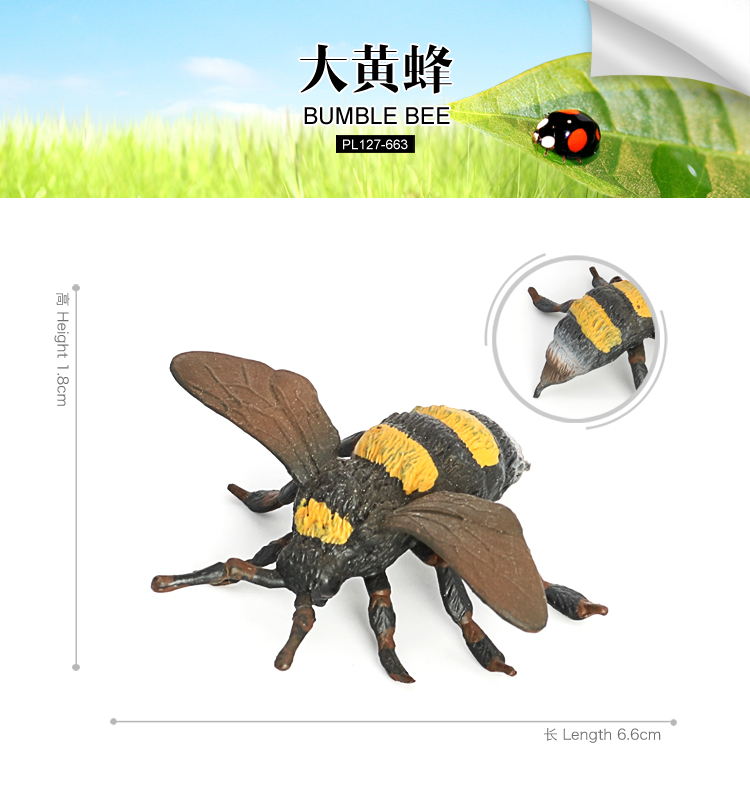 663 Abeille bourdon