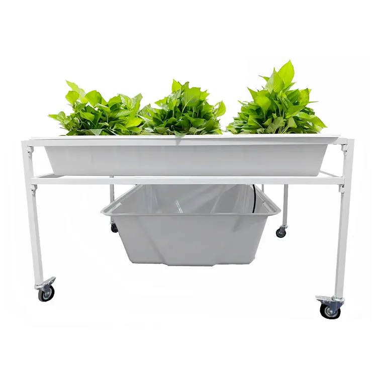 Quadro hidropônico 4 x8, fácil de mover, sistema de crescimento, plantas, moldura, multi nível, tabela inundação