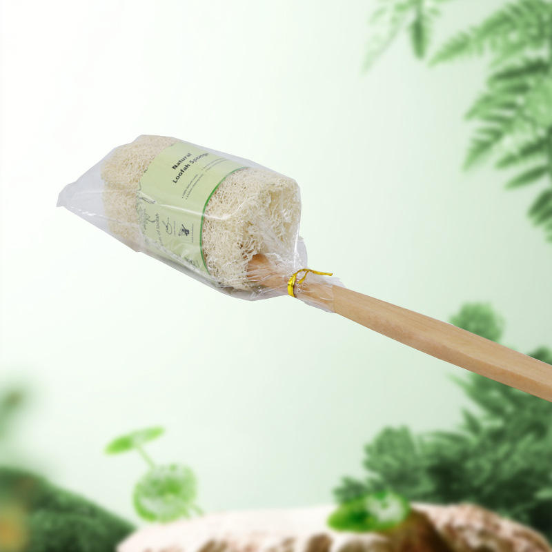 สีขาวของรังบวบอ่อน