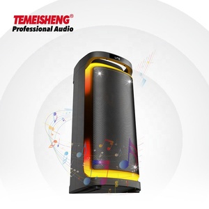 Temeisheng 2023 New Arrival Dual 6.5 Inch Sound Party Box Speaker Professional Karaoke Audio System FM Radio Wireless-BT 5.0 TWS - Product Image 2
