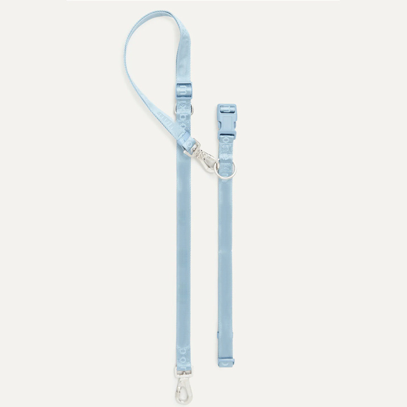 Laisse bleu clair