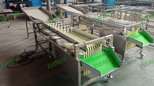 Size <strong>Sorting</strong> Machine Rail Type <strong>Sorting</strong> Machine 1000kg/h - Product Image 3