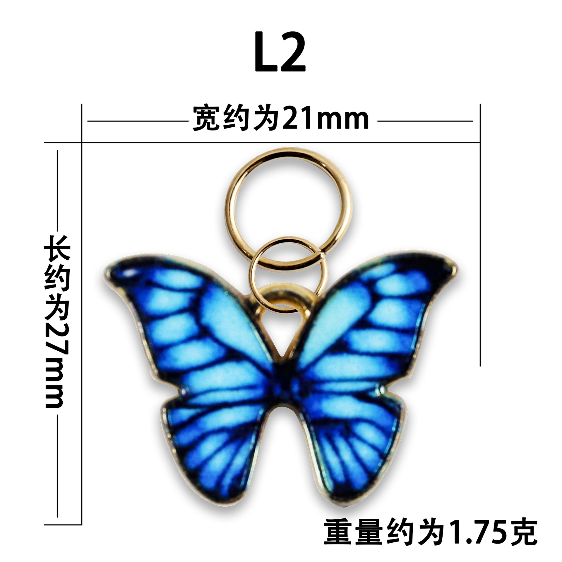 L2