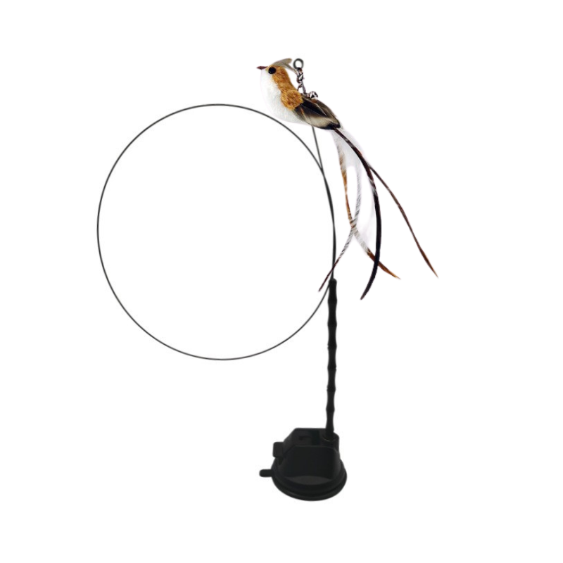 LQZ oiseau + ventouse + tige