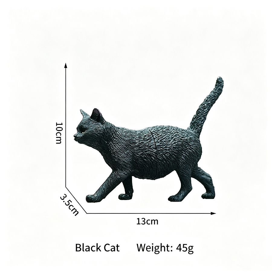chat noir