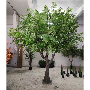 中国の人工ニレの木古い盆栽植物緑風景小道具松の木ガジュマルの木 - Product Image 1