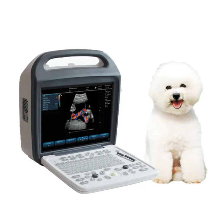 Sistema de diagnóstico veterinário para laptop, ultrassom para laptop de baixo preço