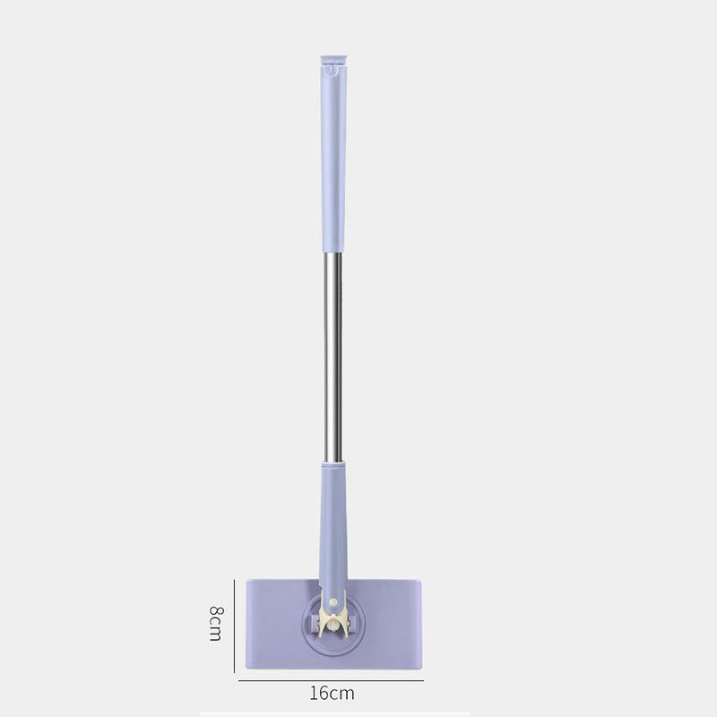 Viola