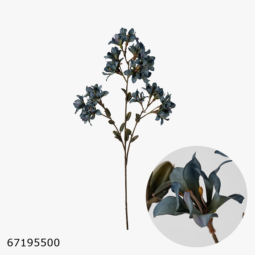 67195500