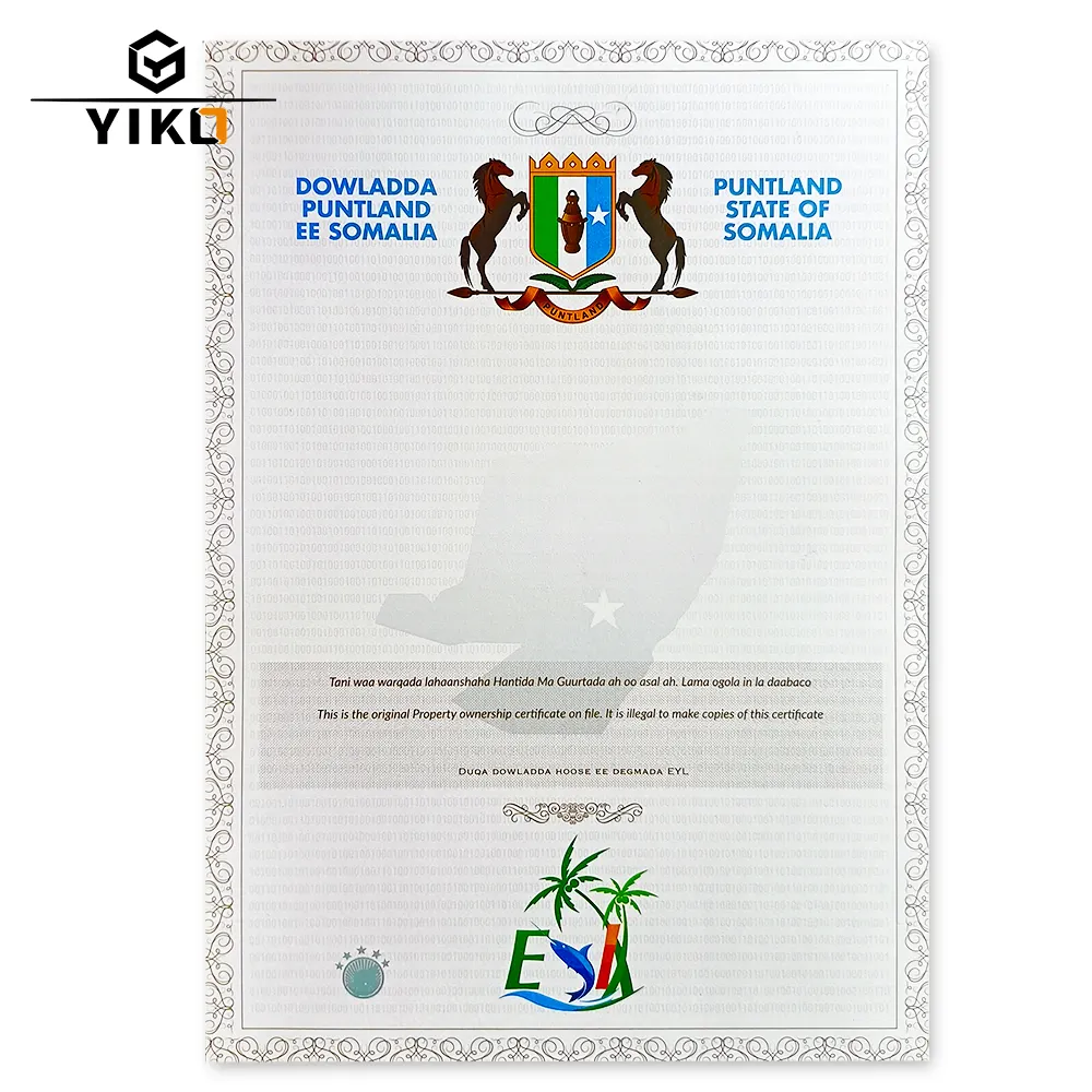 Certificado DE SEGURIDAD DE TAMAÑO A4 personalizado Impresión en papel Invisible Uv Grado de tinta Diploma Documento con posición Astilla Estampado