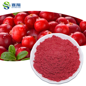 OEM Natural Orgânico Berry Suco De Fruta Em Pó Bebida De Suco De Fruta Orgânica Mistura De Frutas Em Pó - Product Image 5