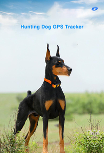 アプリと長いバッテリー寿命ミニ狩猟で狩猟犬のためのオリジナルのGPS追跡ドル。犬用デバイスGpcトラッカー - Product Image 3