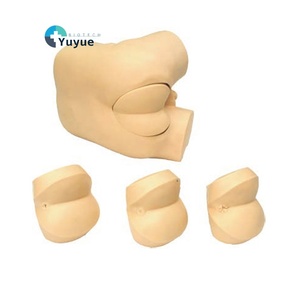 Advanced Digital PVC Training Model for Prostate Examination Rectal <strong>Palpation</strong> Simulation of DRE in Medical School Diagnosis - Product Image 1