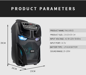 T novo alto-falante portátil sem fio <span class=keywords><strong>Bluetooth</strong></span> 8 Polegada chifre grande TWS alto-falante portátil de plástico com luz de festa atraente