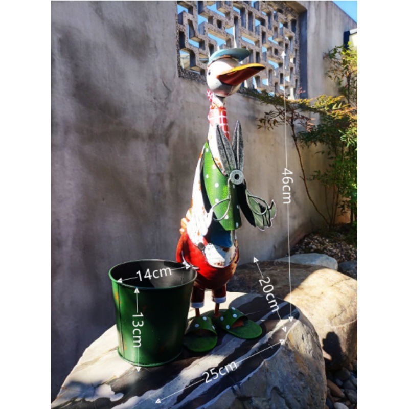 White Shovel Duck