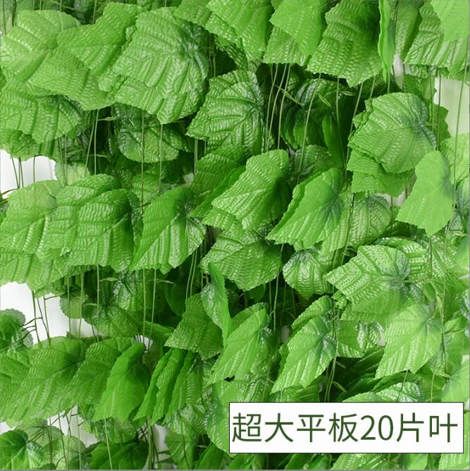 Super gros paquet de 20 feuilles de vigne 12 guirlandes