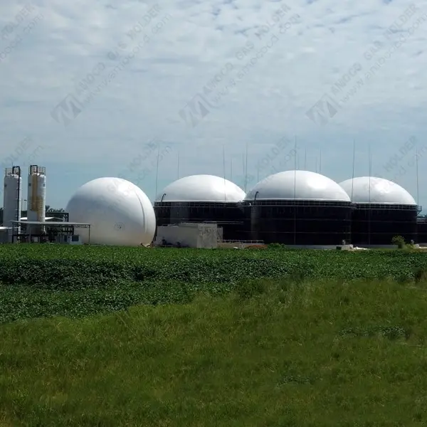 Tanque de almacenamiento de biogás de membrana controlada automática, globo de biogás, soporte de Gas para digestor de biogás en Malasia