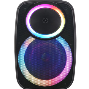 工厂库存NDR-A55 15英寸户外杆音频40w扬声器，带RGB发光二极管灯电池，供舞台使用 - Product Image 1