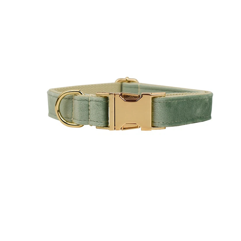 Vert sauge