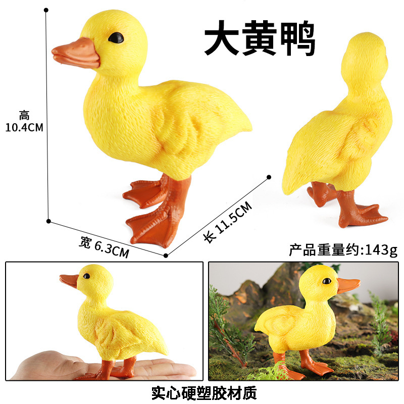 M-1388Big Yellow Duck