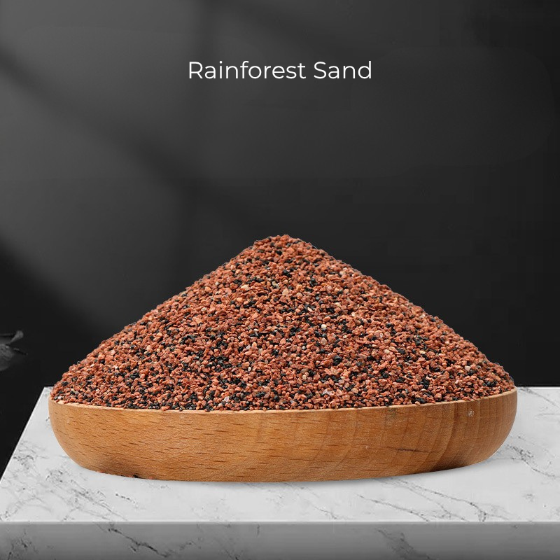rainforest sand