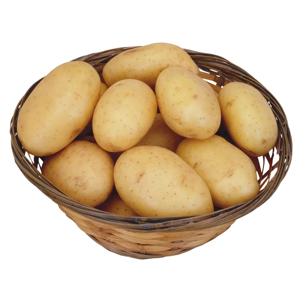 Exportador profesional 2023 Nueva cosecha China Patata fresca Holanda a granel calidad premium Alta calidad