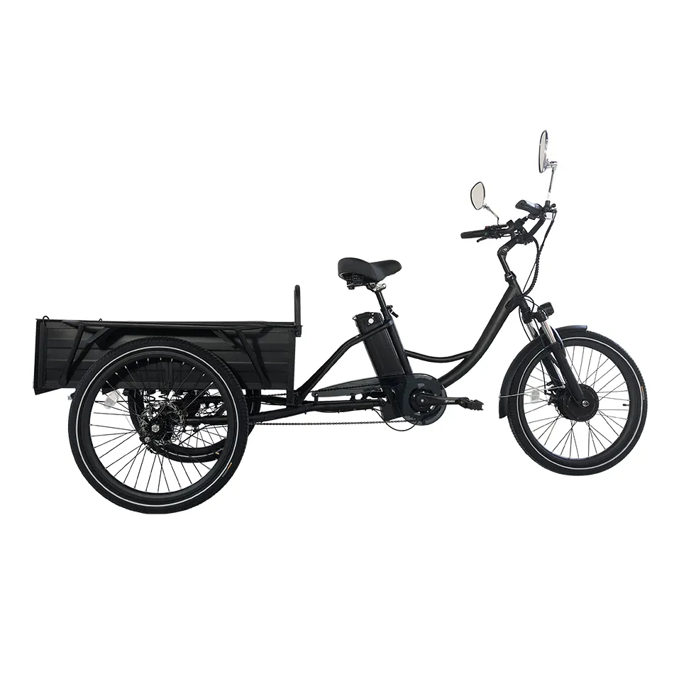 Tricycle électrique Cargo de haute qualité alimenté par batterie au Lithium 350W 500W frein à disque 24 pouces Tricycles électriques à trois roues