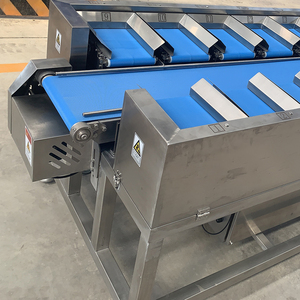 Precision Weight Combination <strong>Sorting</strong> <strong>Machine</strong> - Multi-station Belt <strong>Sorting</strong> System with Linear Combination Weigher - Product Image 3