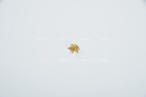 Elektronik buharlaştırıcı için RongGuang POGOPIN pirinç bahar iğne konektörü özel şarj iğneleri OEM özelleştirme | Çin yapılan - Product Image 6