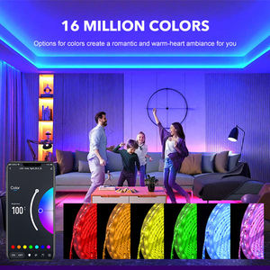 Fabrika yüksek kalite popüler su geçirmez Led neon şerit işıklar RGB 5 10 metre WIFI akıllı şerit işık - Product Image 4