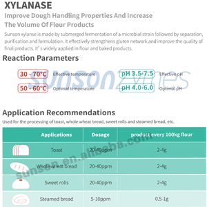 Bánh <span class=keywords><strong>xylanase</strong></span> Enzyme cho bánh mì khối lượng tăng và sưng, cải thiện bột điều hòa, tăng cường bánh mì lò mùa xuân - Product Image 2
