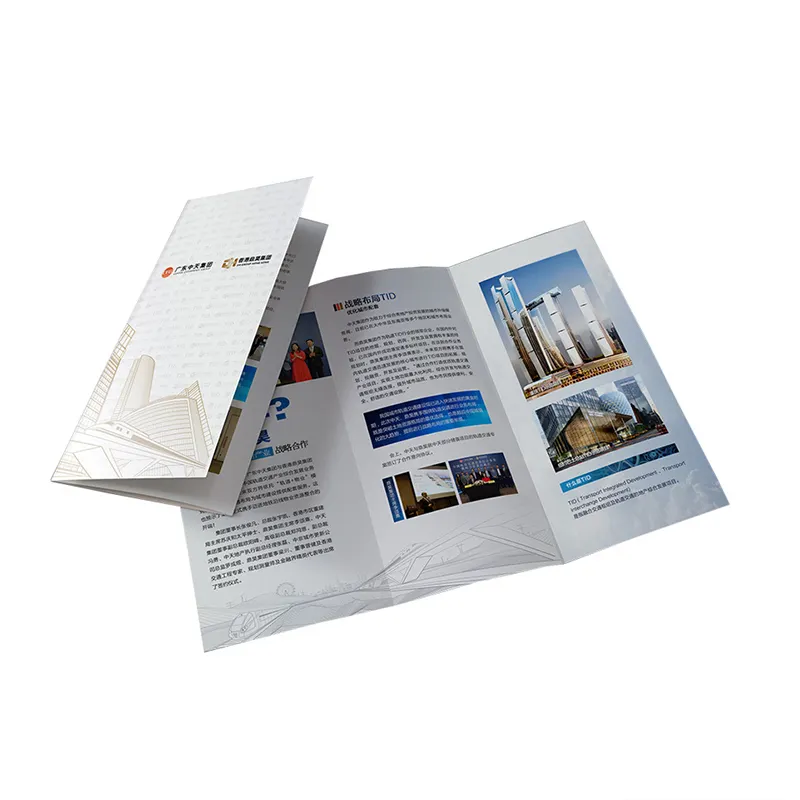 Руководство пользователя для печати каталогов роскошных флаеров брошюра на заказ дизайн услуги печати