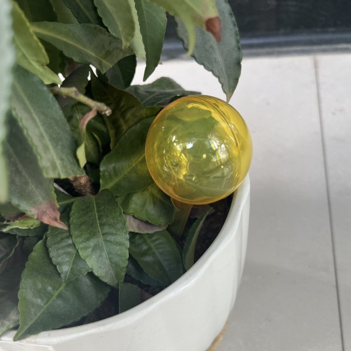 Pequeño redondo amarillo