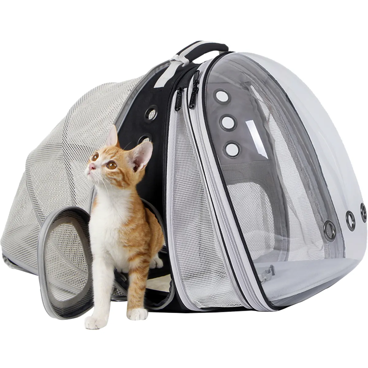 신제품 확장 가능한 투명 버블 고양이 배낭 캐리어 작은 강아지와 큰 뚱뚱한 고양이 수의학 수송 애완 동물 책 가방