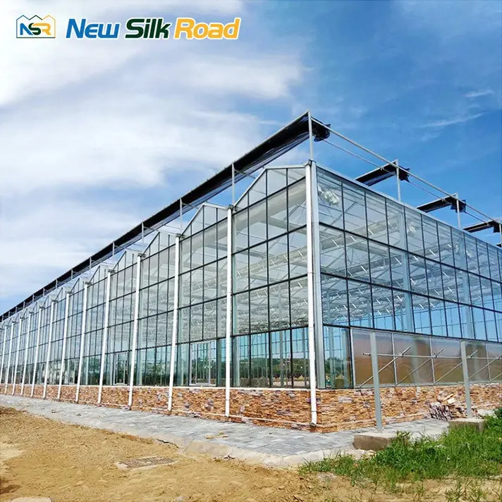 植物農業のために経済的な強化ガラスと溶融亜鉛めっき鋼フレームを備えた大型マルチスパンフェンロ温室