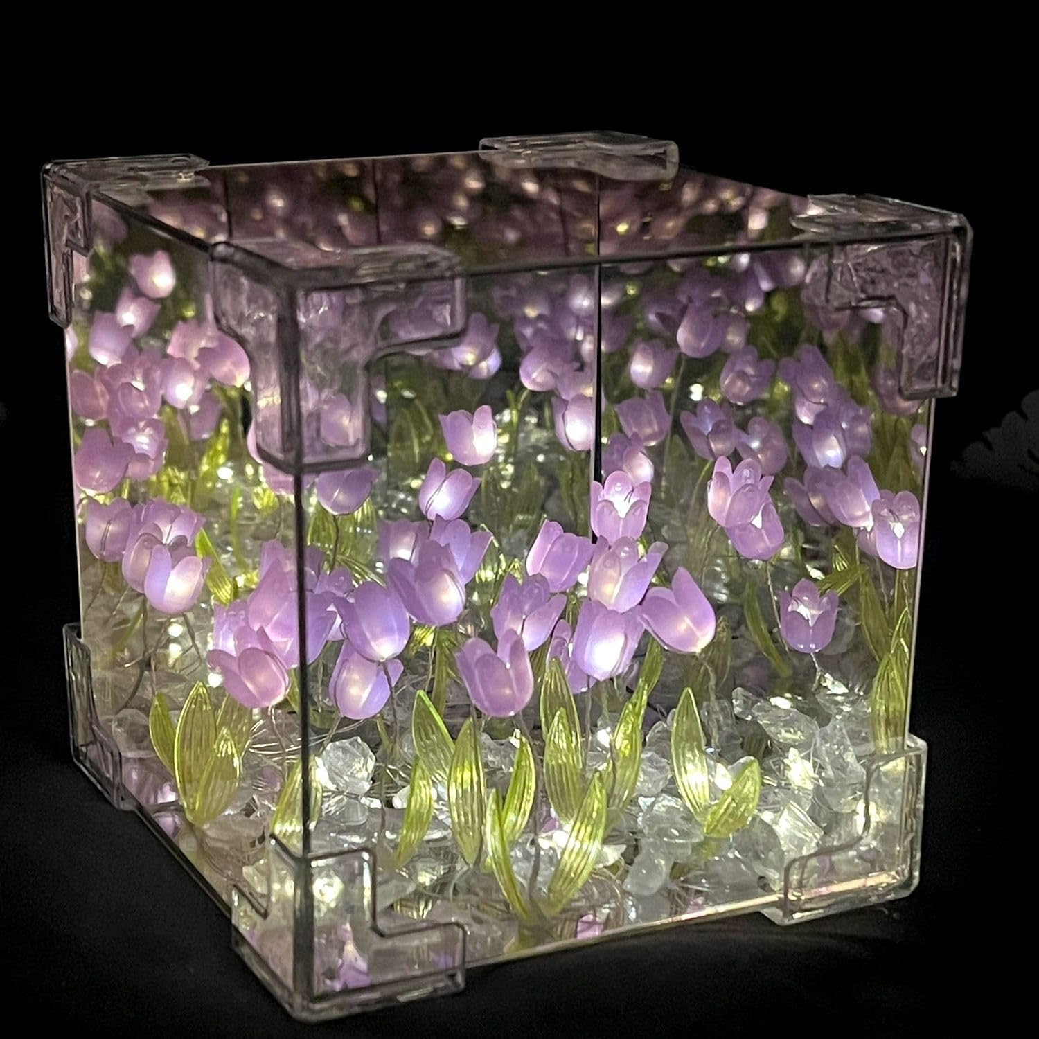 Pourpre