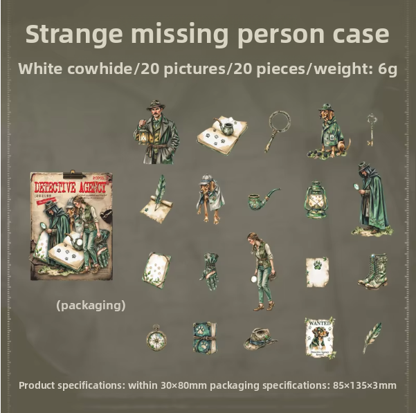 E The Strange Missing Person Case