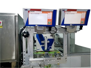 Impresora de codificación de fecha TTO máquina de numeración automática - Product Image 4
