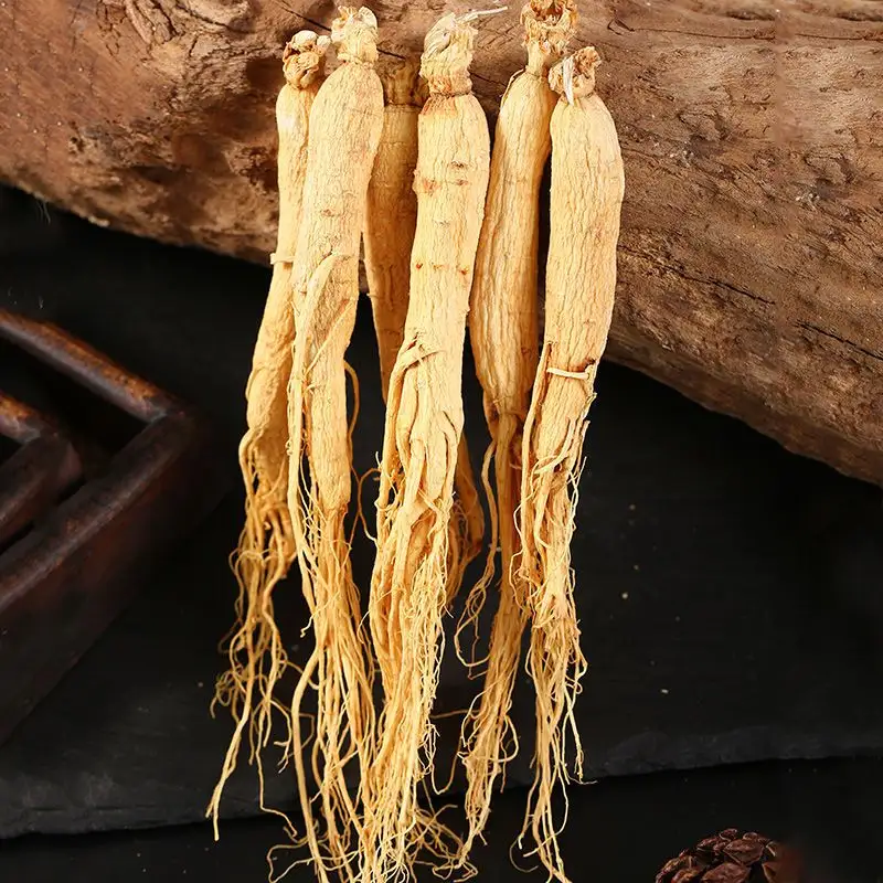 Pabrik Qingchun grosir 250g/500g 5 tahun alami budidaya organik ramuan seluruh Ginseng ekstrak Panax Ginseng akar