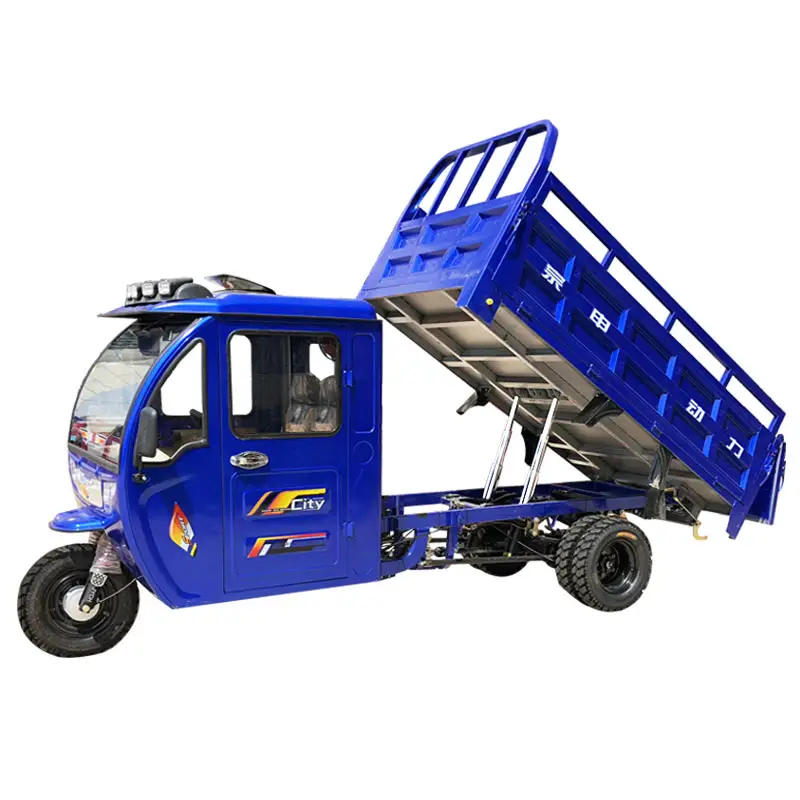 passenger cargo motor tricycle enclosed tricycle motorcycle dump 250,300cc motorized tricycle fuel gasoline