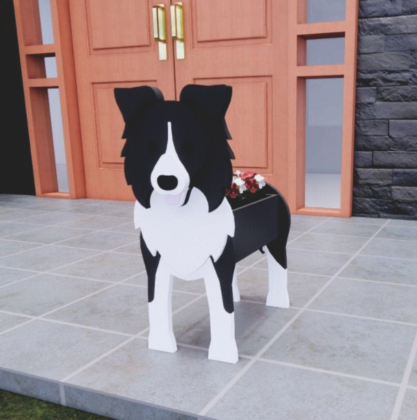 Border collie 600g