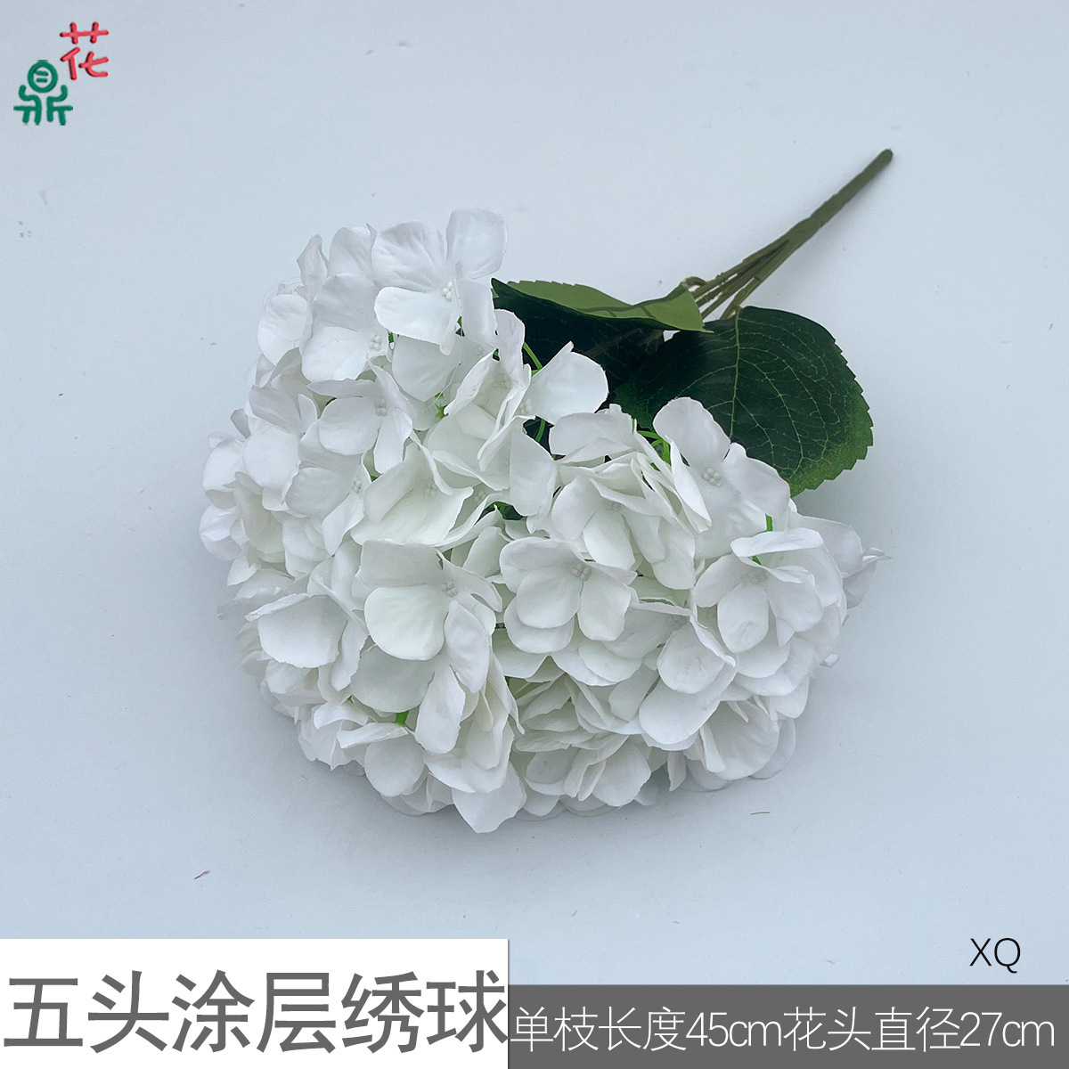 Hortensia XQ blanc à cinq couches de revêtement