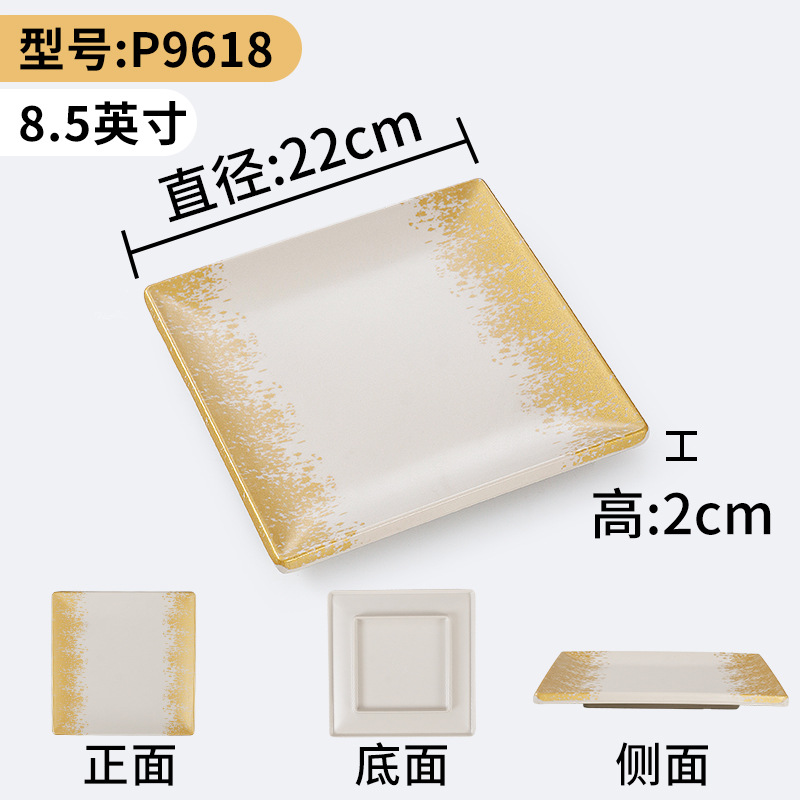 p9618
