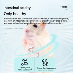宠物上天仓鼠益生菌宠物金丝熊刺猬腹泻呕吐腹泻特殊调理胃