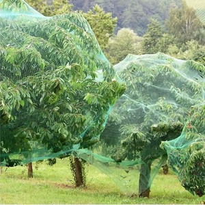 Rete di protezione Anti uccello giardino reticolato piantine fiori alberi da frutto ortaggi rete di recinzione da uccello cervo - Product Image 3