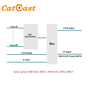 4 8 12 16 20 24 DVBS/S2 DVBT/T2 ISDBT ATSC Multiple Tuners <strong>Input</strong> to <strong>IP</strong> Streamer with SPTS <strong>Output</strong> - Product Image 4